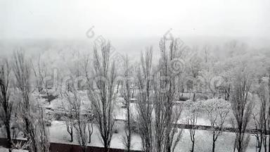 在一个美丽的城市公园里，冬天<strong>飘落</strong>的白雪和白树。 时间流逝。